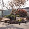 Banc Cancale 1 ou 3 places